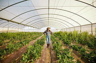 Buy stock photo Farmer, greenhouse and happy agriculture woman in eco friendly business for environmental health. Carbon capture career and food sustainability industry for green lifestyle, growth and innovation.