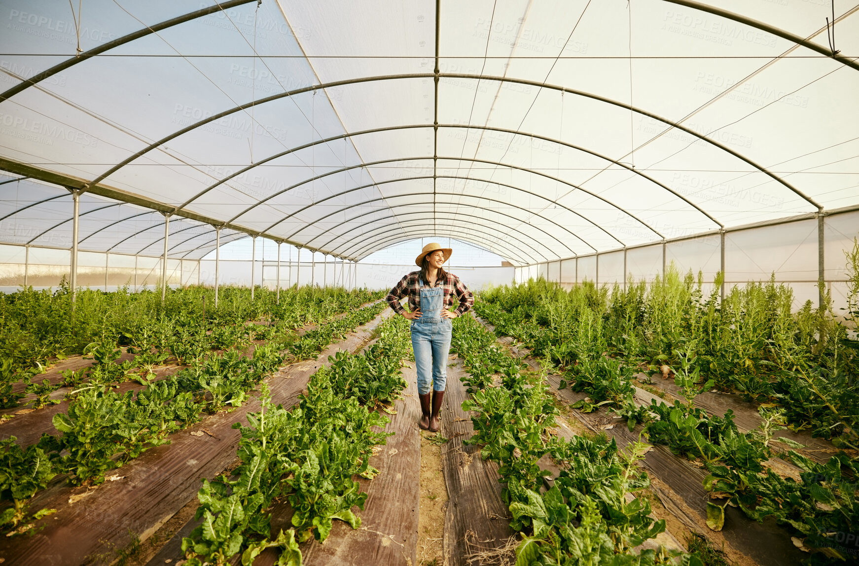 Buy stock photo Farmer, greenhouse and happy agriculture woman in eco friendly business for environmental health. Carbon capture career and food sustainability industry for green lifestyle, growth and innovation.