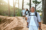 Hiking, old and adventure seeking Asian man staying active, healthy and fit in twilight years. Tourists or friends travel doing recreation exercise and explore nature on wellness getaway or retreat