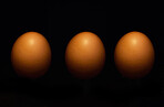 Three whole fresh eggs in a row, lined up against a dark background in studio. Boiled eggs in the shell isolated on black. Freshly laid produce from a farm, direct to grocery store for health and diet