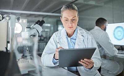 Buy stock photo Science, tablet and innovation with a woman engineer doing research in a medical laboratory. Analytics, internet and technology with a doctor or scientist working on future development in her lab