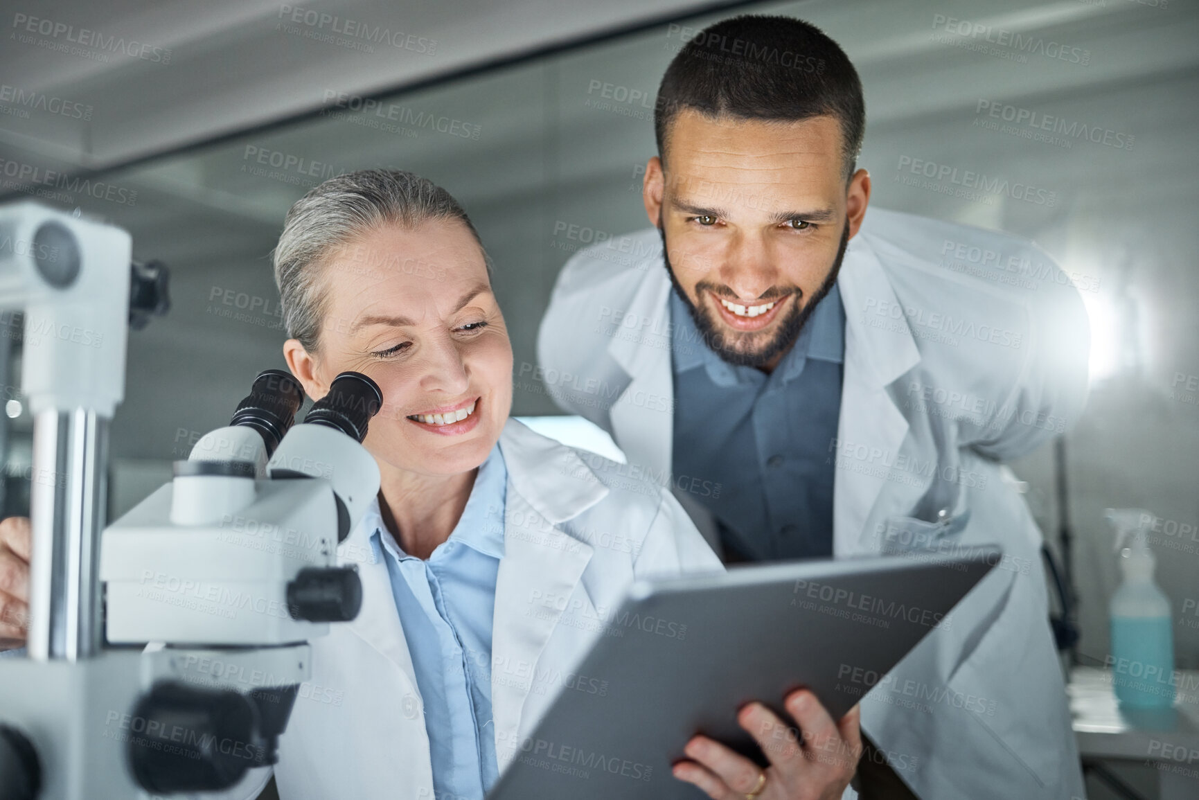 Buy stock photo Laboratory collaboration, microscope or tablet in science data analysis, medical innovation help or healthcare research for mature woman or man. Smile, happy or dna scientist teamwork with technology