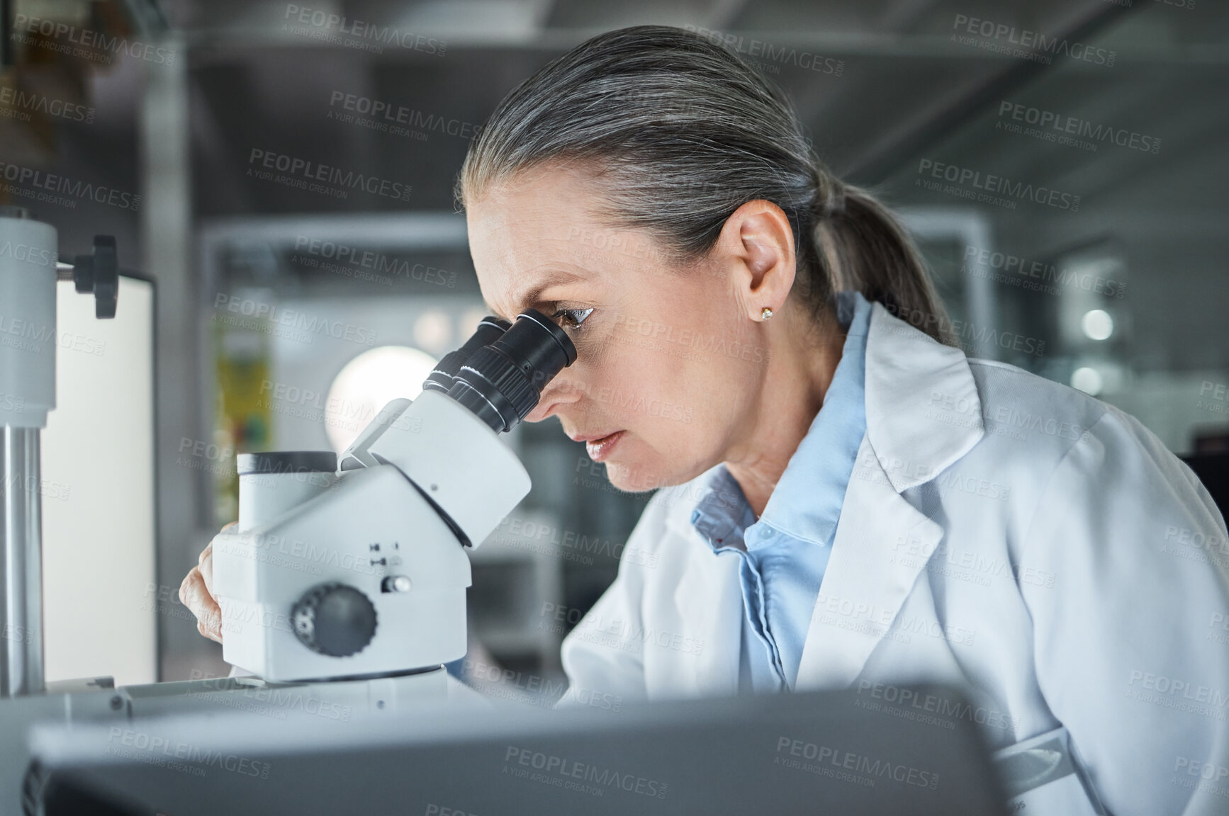 Buy stock photo Woman, scientist and microscope at a research lab with medical analytics. Cell doctor or biotechnology researcher working in the healthcare, dna or medicine laboratory in a modern science facility