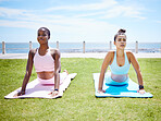 Fitness women, yoga stretching and cobra workout on outdoor grass in sun for mindset, wellness and strong body. Calm, focus and healthy friends balance in pilates exercise, training and zen sports