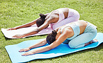 Woman, yoga and fitness stretching on a mat for healthy wellness and exercise together in nature. Active female friends in calm, zen and workout stretch for wellbeing on the grass in the outdoors