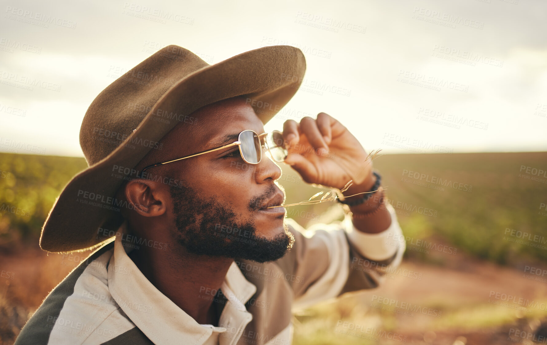 Buy stock photo Sustainability, farm and agriculture with a black man or cowboy farmer chewing straw in a grass field or meadow. Sustainable, farming and sustainable with a young male working in organic ecology