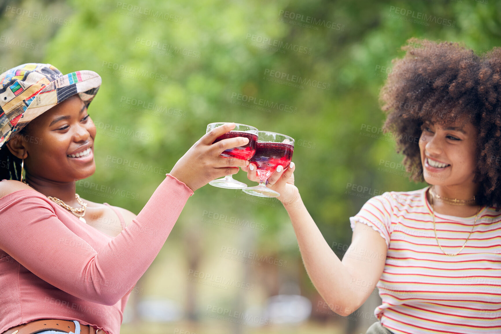 Buy stock photo Toast, celebration and friends with wine on a picnic in a park together during summer. Happy, relax and African women with cheers and glasses of alcohol to celebrate birthday in nature garden