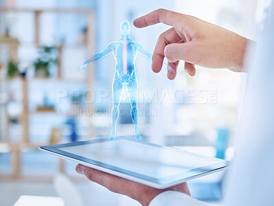 Buy stock photo Virtual ai, body hologram and doctor working on healthcare research with digital design on tablet in a hospital at work. Hands of a medical nurse doing analysis of human anatomy with graphic on tech 