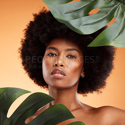 Beauty, skincare and palm leaf with a model black woman in studio on an orange background for health or wellness. Cosmetics, face and portrait with an attractive young female posing for natural care