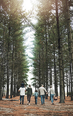 Buy stock photo Nature walk, family and park, outdoor and together bonding with trees and spending quality time on picnic. Grandparents, parents and children, walking in forest and big family love and holding hands.