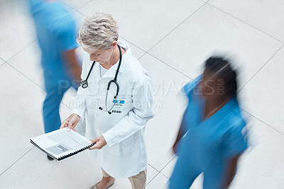 Buy stock photo Woman, doctor and hospital data with a nursing team in a busy wellness and health clinic. Medical, healthcare and nurse worker with insurance, help and medicine information ready for surgery
