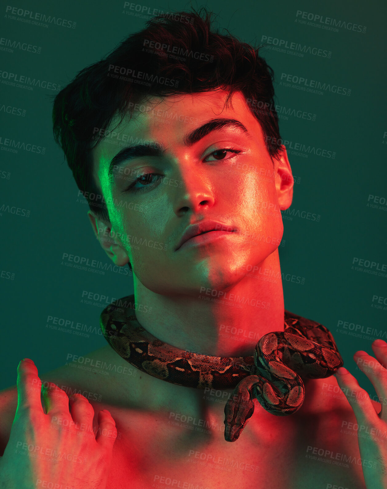 Buy stock photo Skincare, man and snake in studio for beauty, wellness and treatment in art or creative, neon and green background. Face, portrait and model with animal for danger, glow and python extract product