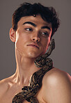 Model, face and man with snake in studio on gray background for beauty, fashion and art. Creative, nature and headshot of young male with reptile on body pose for cosmetics, skincare and body care