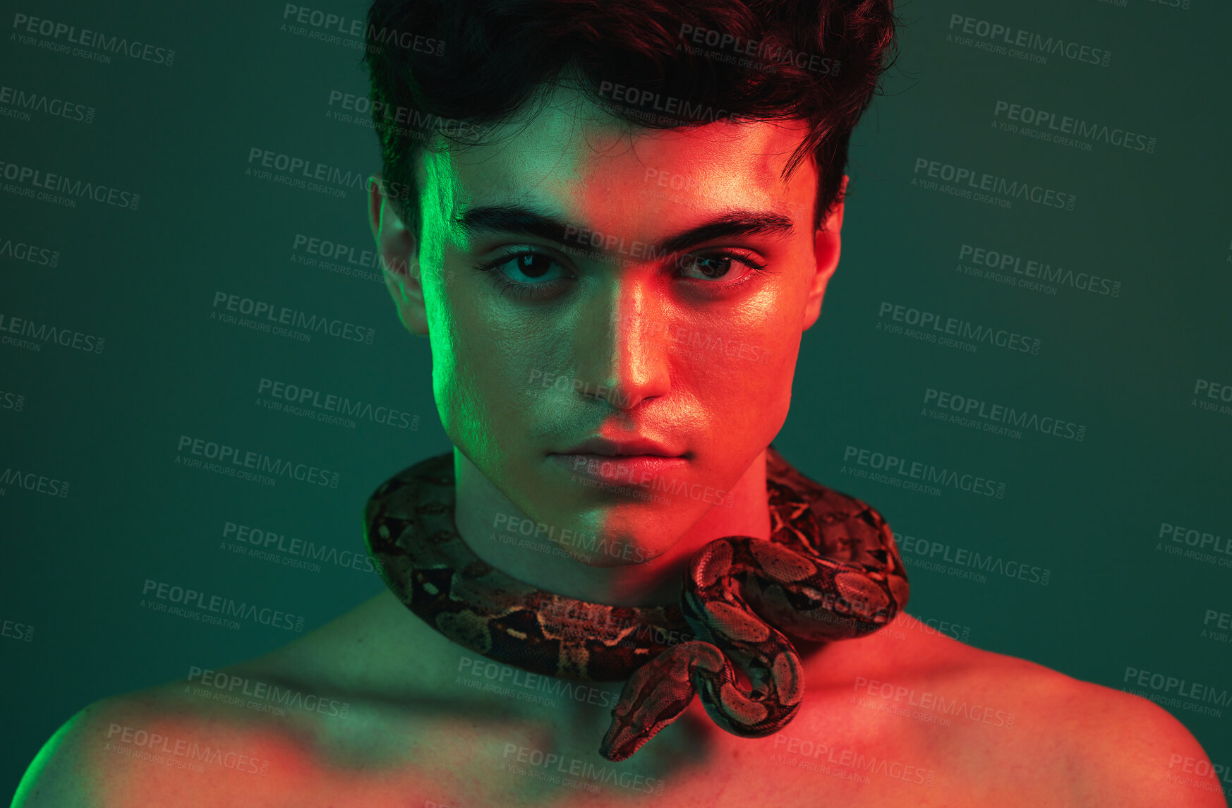 Buy stock photo Snake, beauty and man in studio with green mock up with cosmetics, skincare and lights aesthetic for creative, art and animal print. Neon creativity, natural and nature pet fearless model on mockup