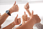 Team, diversity and business people thumbs up sign, icon and hands gesture for success and celebration. Group of men and women employees together for trust, yes or thank you hand gesture at work

