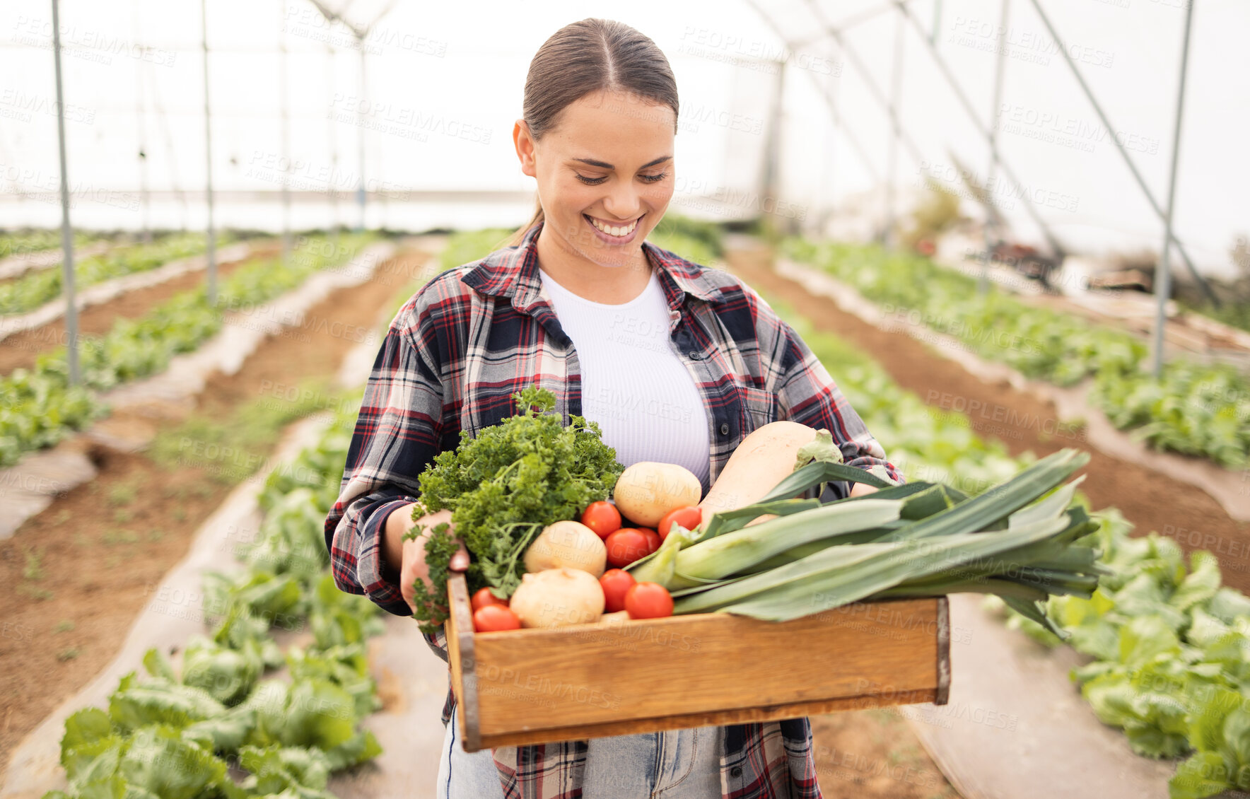 Buy stock photo Vegetables, greenhouse and woman farmer smile, sustainable farming and happy with healthy produce. Agriculture, female and happiness for nutrition diet, natural organic food and eco friendly harvest.