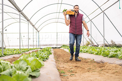 Buy stock photo Farmer, young man and greenhouse for vegetables, carry crate and happy with fresh produce from garden. Agriculture, sustainability farming or organic nutrition food for health or eco friendly harvest