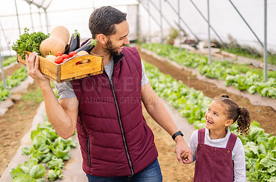 Buy stock photo Agriculture, food and father and girl on farm for health, sustainability and family environment. Plant, growth and summer with dad and child farmer with box of vegetables for agro, garden and nature