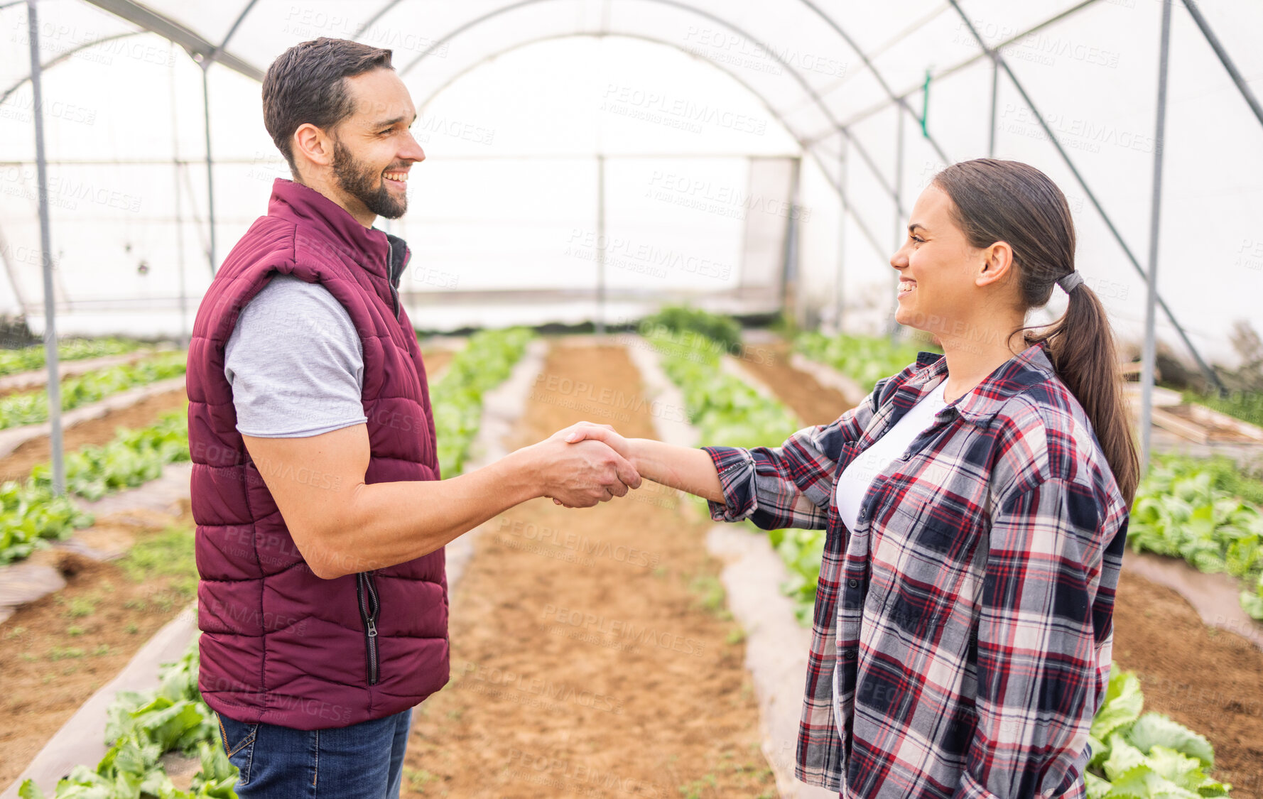 Buy stock photo Partnership, agriculture and farmers doing handshake in greenhouse for business deal in farming industry. Collaboration, teamwork and man and woman shaking hands to work together on sustainable farm
