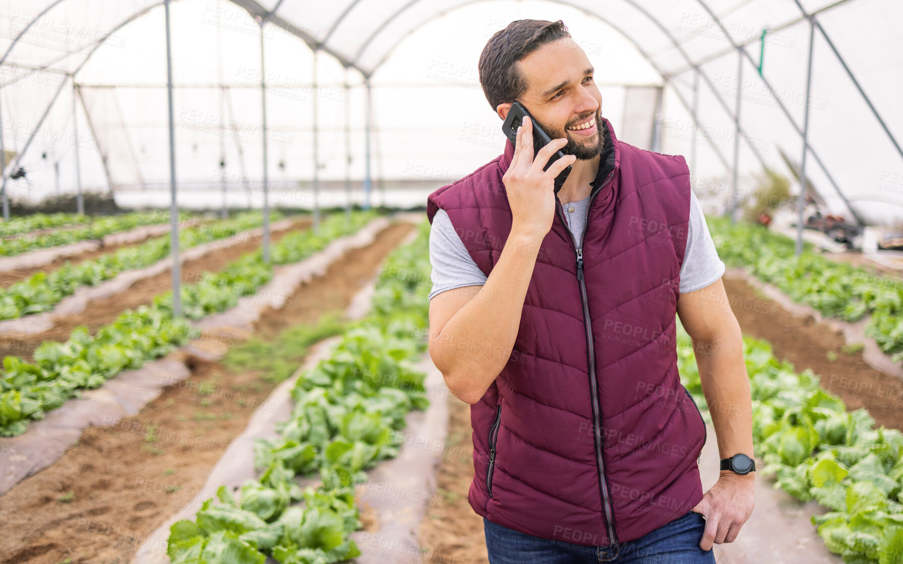 Buy stock photo Phone call, farm and agriculture with a man at work in the greenhouse of organic agricultural farmland. Mobile, communication and sustainability with a male working alone in the farming industry
