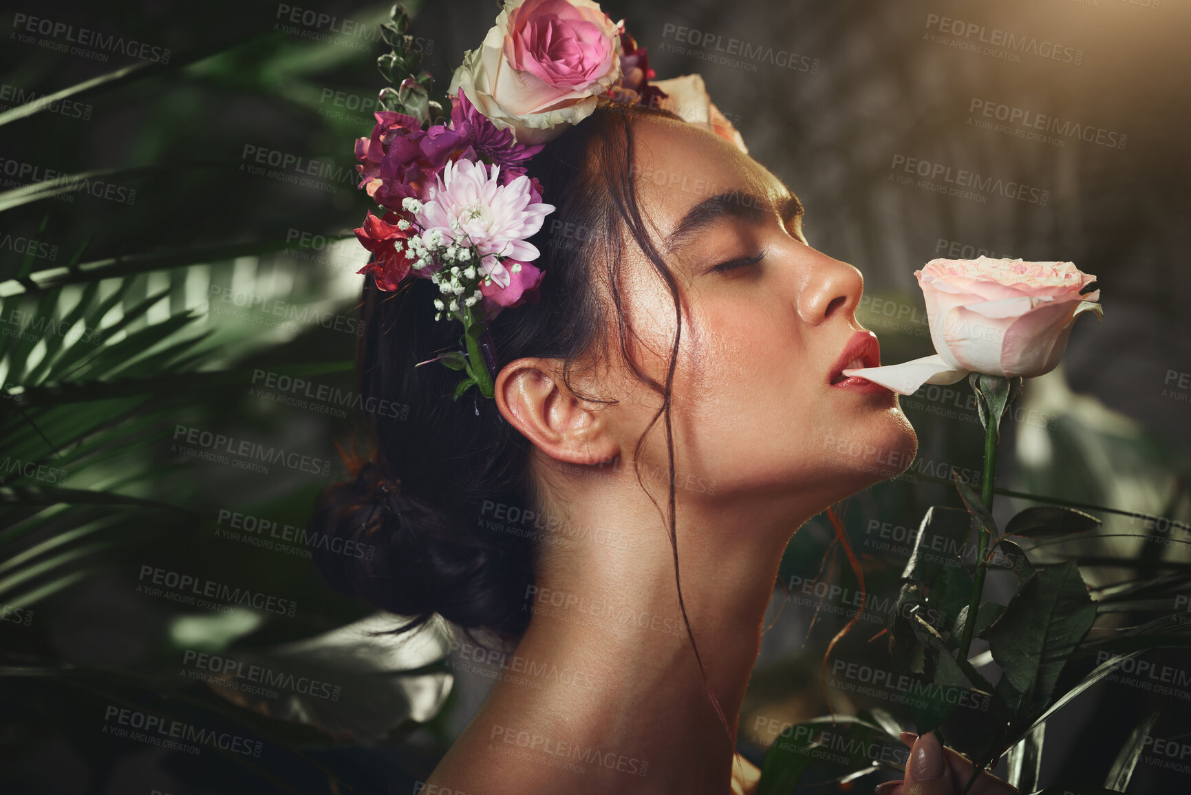 Buy stock photo Beauty, nature and flowers with a model woman biting a rose in studio on a natural forest background. Skincare, wellness and luxury with an attractive young female posing in a rainforest jungle