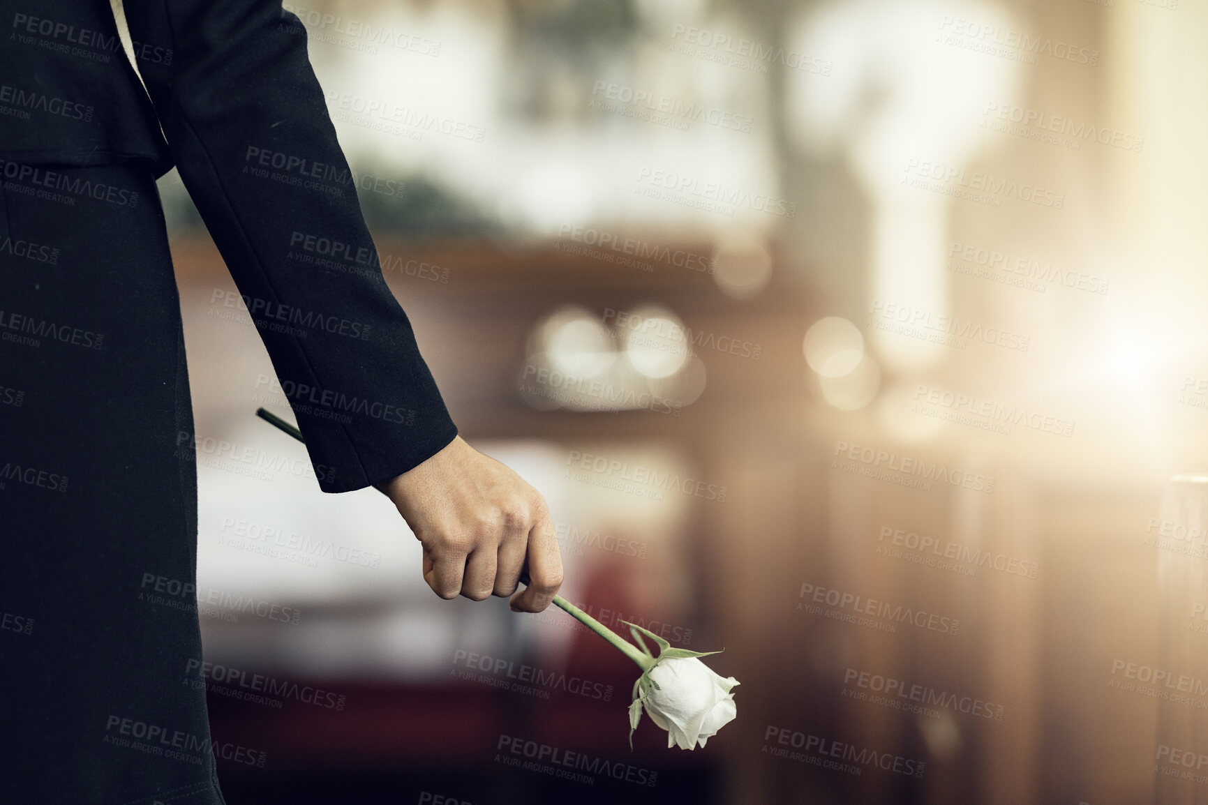 Buy stock photo Flower, funeral and hand holding rose in mourning at death ceremony with grief for loss burial. Floral, church or cemetary with person holding plant for sad bereavement or cemetary event in a chapel