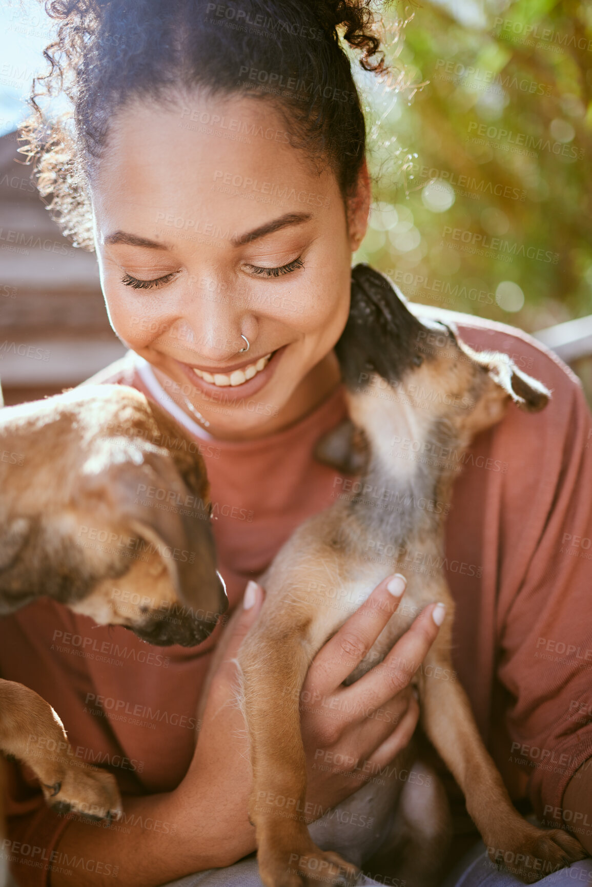 Buy stock photo Happy, care and girl playing with dogs at animal adoption center with excited smile holding puppy. Happiness, black woman and loyalty of foster pets with caring lick for bond and trust.

