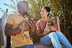 Couple, love and bonding with puppy dogs in animal shelter, adoption center of volunteer community charity for canines. Smile, happy or black woman and man with animal pets for foster care in garden