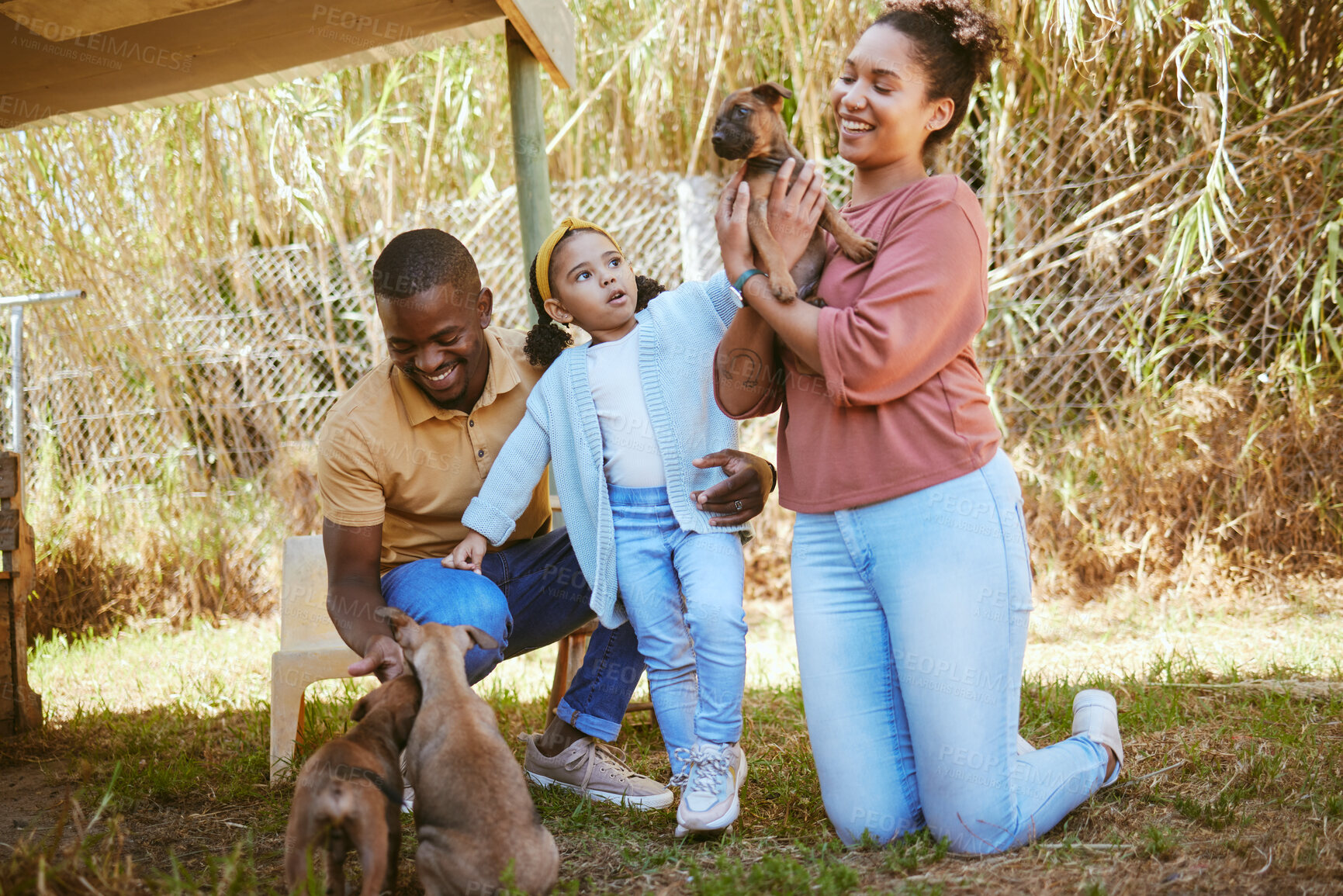 Buy stock photo Family, dog adoption and pet outdoor with a happy mother, girl and dad with a puppy. Happiness, love and animal shelter care of a mom, child and man hug and hold dogs together with a smile in a park
