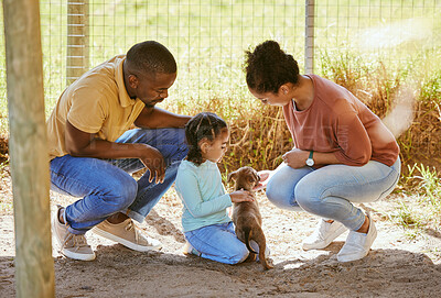 Buy stock photo Love, black family and dog adoption at animal shelter, kennel or house. Care, support and choice of caring family choosing puppy to take home or foster for little girl bonding with cute pet in cage.
