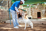 Dog, food and training for animal adoption with professional black worker at shelter for rescue and lost pets. Trainer, learning and reward for good discipline of homeless pet at volunteer center.
