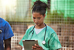 Healthcare, medical nurse and tablet in hands for patients chart, digital health report and information. Field hospital doctor, professional black woman and nursing clinic worker with treatment notes