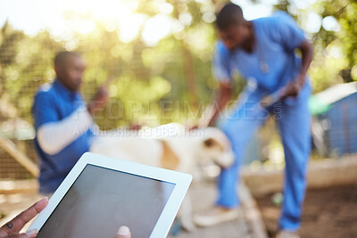 Buy stock photo Veterinary, animals and vet with digital tablet in shelter doing check up, examination and taking care of dog. Healthcare, support and medical team working together in animal shelter with technology