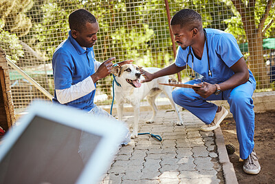 Outdoor animal shelter, dog and vet with clipboard in hand doing check up,  examination and analysis. Healthcare, teamwork and veterinarian medical  workers at dog shelter taking care of animals | Buy Stock