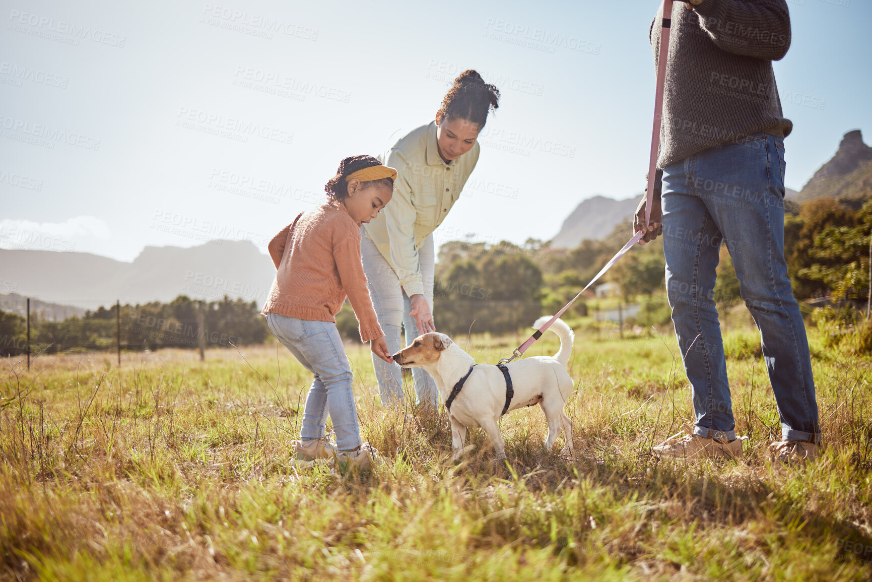 Buy stock photo Dog, park and pet family with child, mother and father in nature or a grass field for outdoor wellness. Bonding, love and care of animal or puppy with parents or mom and dad with girl by countryside