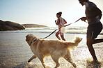 Dog, black couple and running beach fitness with an animal for morning exercise and runner workout. Training, sport and sea run of people by waves and sand in summer with a golden retriever pet