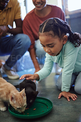 Child, cats and care while eating food for nutrition for health and wellness, family at animal shelter for charity and volunteer work for rescue animals. Girl showing love and support petting cat