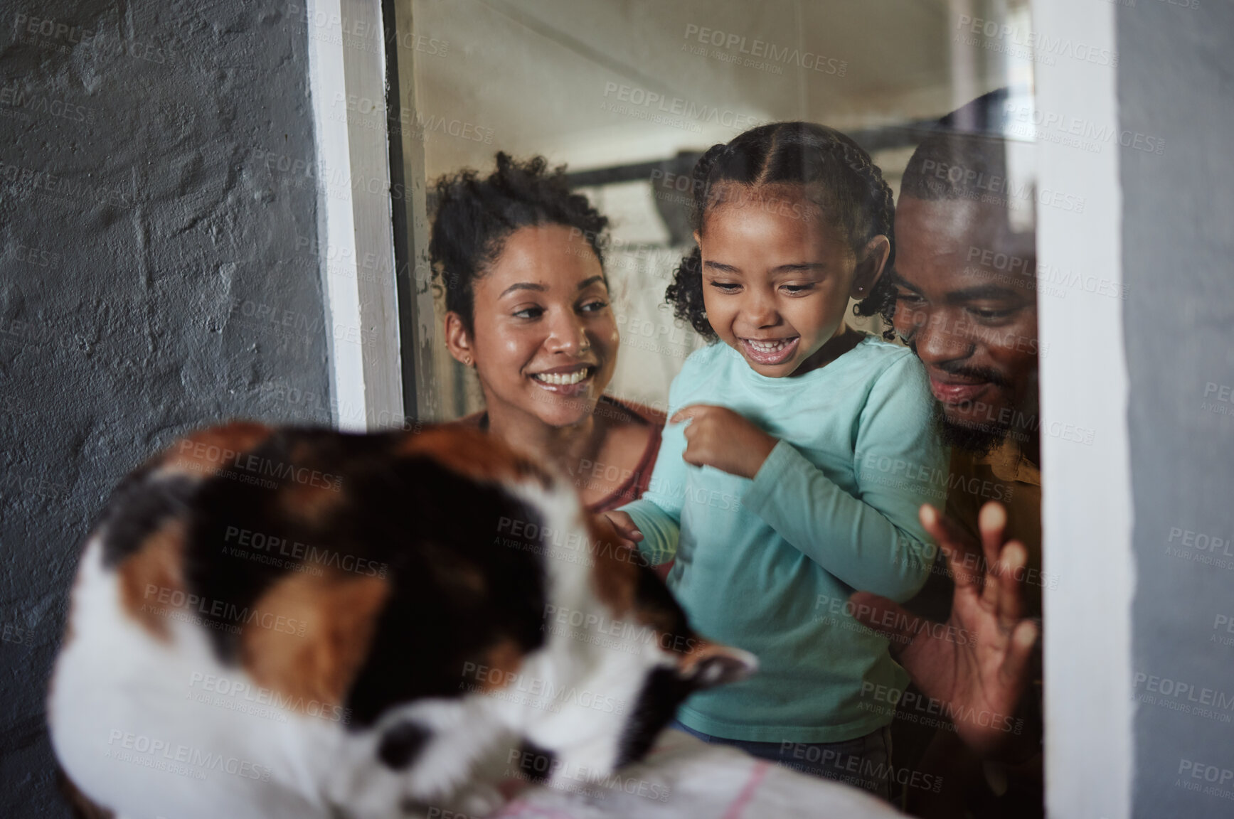 Buy stock photo Family, animal shelter and child excited about a cat while doing volunteer or charity work with a smile and happiness of mother, girl and father. Man, woman and kid at vet window for adoption of pet