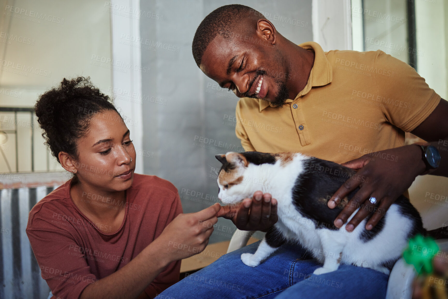 Buy stock photo Happy black couple, love and cat in home, playing or bonding. Support, care or interracial couple, man and woman with pet, kitty or kitten loving, caring or enjoying quality time with animal in house