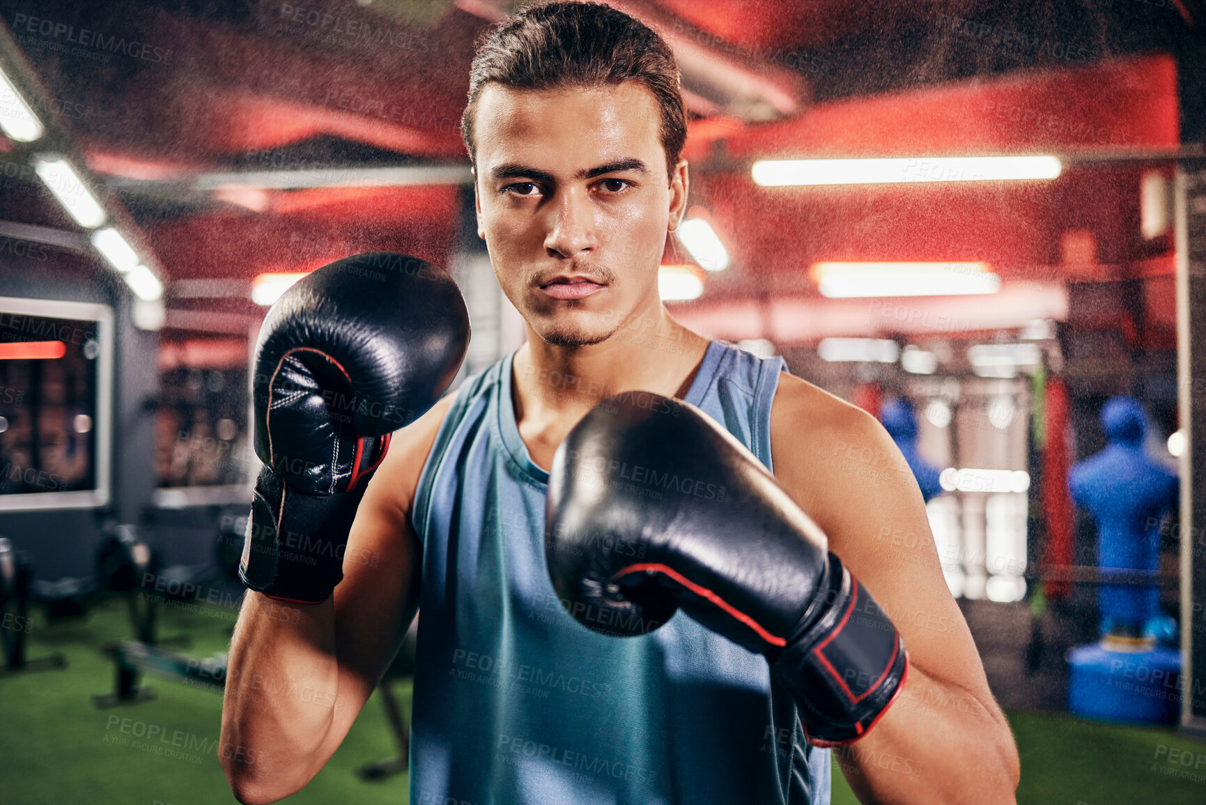 Buy stock photo Fitness, sports or motivation man boxer in gym studio with gloves for training, cardio workout or exercise. Focus, mma portrait or male athlete in boxing ring with goal vision, health or fight energy