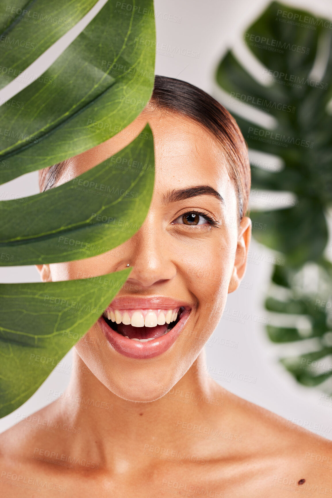 Buy stock photo Skincare, beauty and portrait of woman with plant in studio for wellness, luxury and spa. Body care, makeup and girl with smile on face for natural beauty products, cosmetics and skincare products