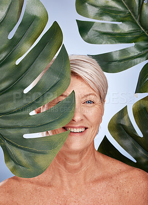 Buy stock photo Mature woman, skincare or body care leaf in studio healthcare, organic dermatology treatment or vegan face makeup cosmetology. Smile portrait, happy middle aged beauty model or green monstera plant