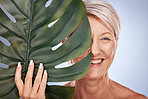 Skincare, portrait of mature woman and leaf, organic cosmetics for face on studio background. Health, beauty and retirement, happy lady in Australia. Dermatology, cosmetics and healthy hair and body.