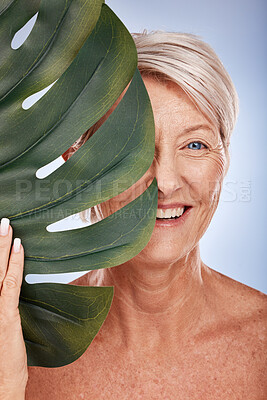 Buy stock photo Monstera leaf, portrait of senior woman with natural skincare and marketing luxury retirement spa in Sydney. Elderly lady with green plant, half face on studio background and healthy dermatology