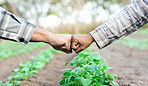 Farming, agriculture and fist bump for b2b business deal, partnership or agreement on an agro farm with hands for trust, teamwork and growth. Man and woman farmer together for support in ecology