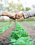 Fist bump, support and employees farming in partnership for growth, agriculture and sustainability on a farm. Meeting, deal and farmer people with goal for sustainable ecology and eco friendly nature