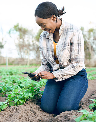 Buy stock photo Farm, phone and photo with a woman farmer taking a picture of her plants for online social media. Agriculture, agro and ecology with a female gardener taking photos on her cellphone of harvest