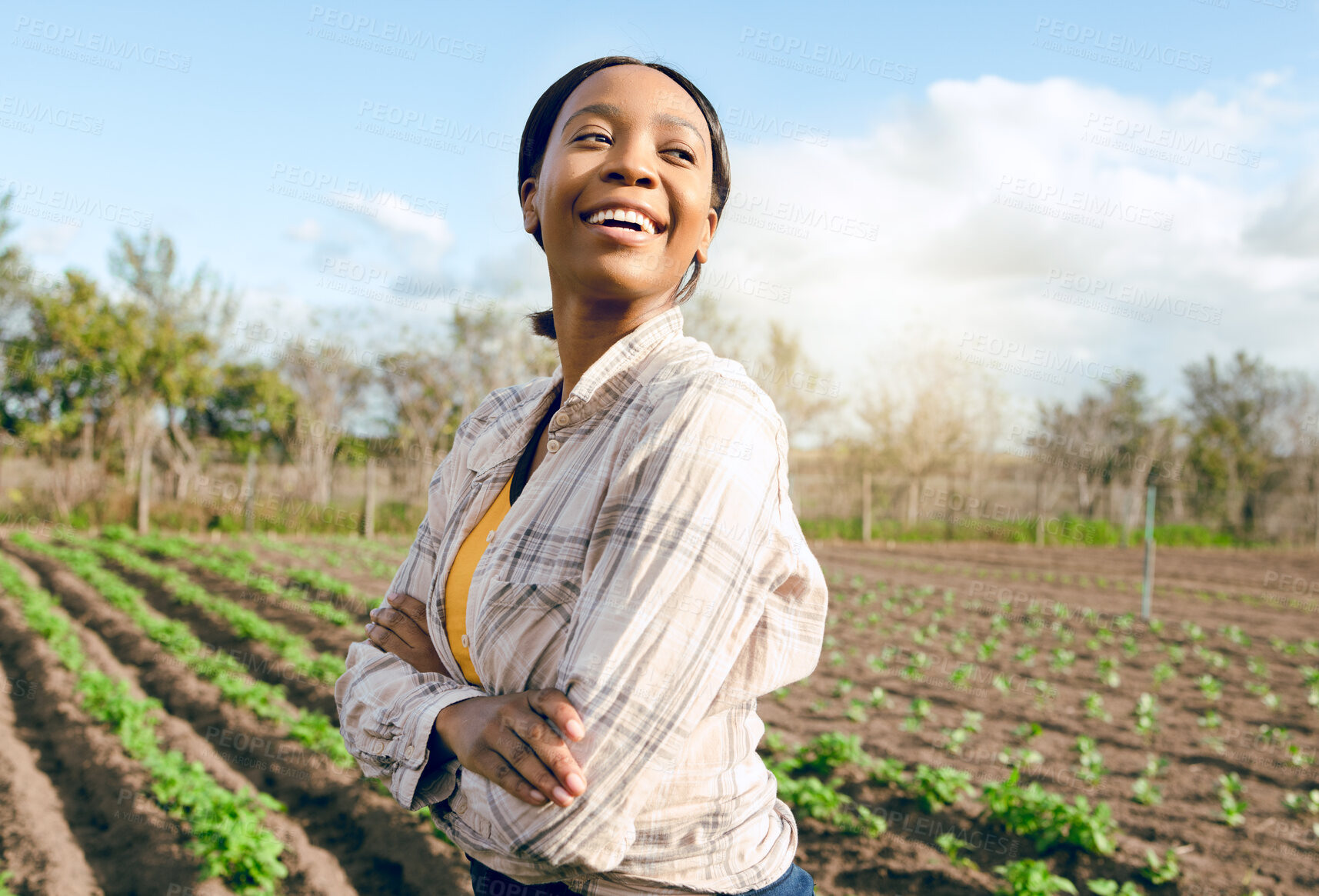 Buy stock photo Woman, farm and thinking for agriculture farming harvest in a field in summer for eco friendly development. Gardener, gardening and growth with an african american female famer working on farmland