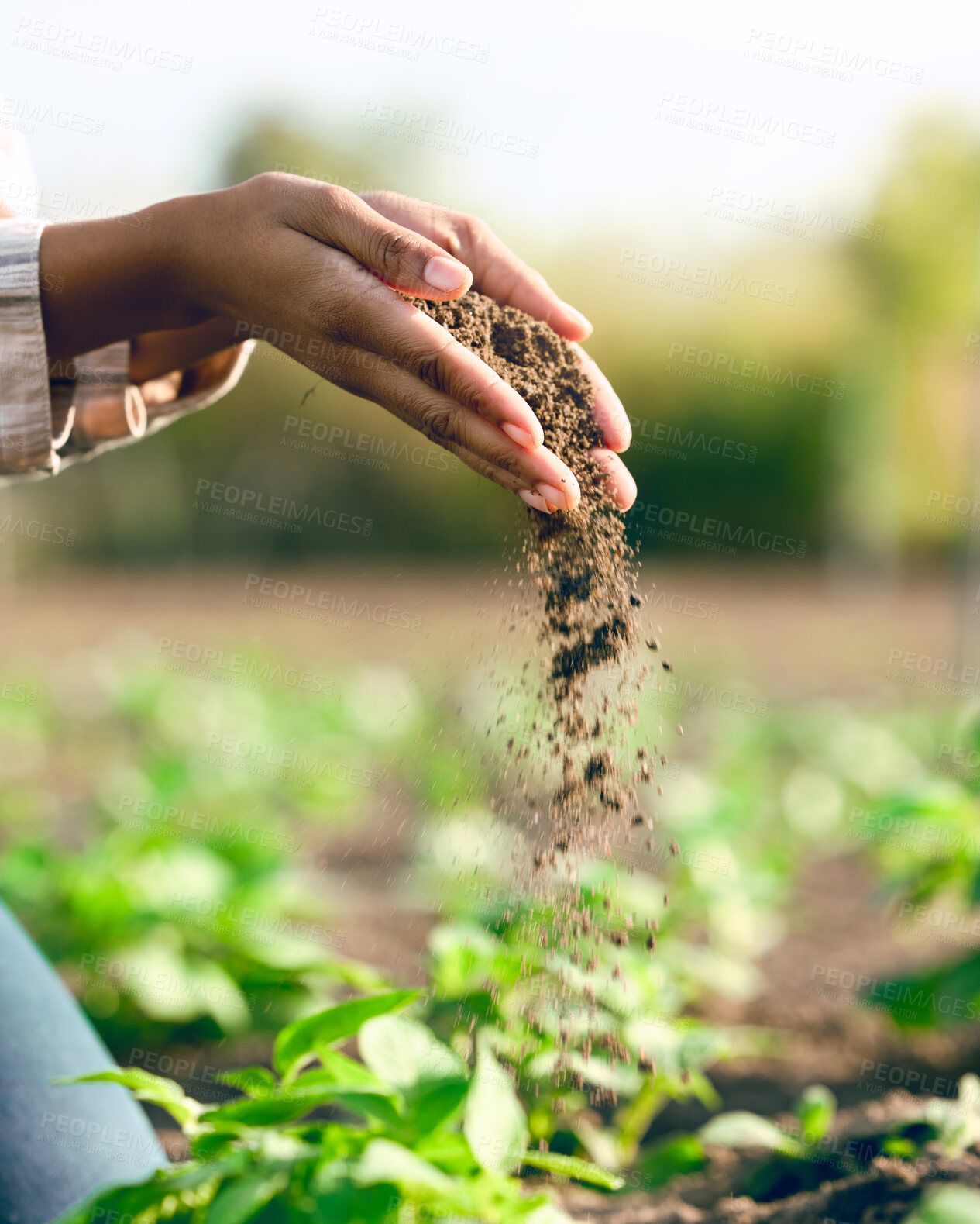 Buy stock photo Farmer, hands and agriculture with soil, dirt or dust for plants, growth or farming closeup. Black woman, land and farm with field, earth or nutrition of ground for sustainability, fertility and zoom