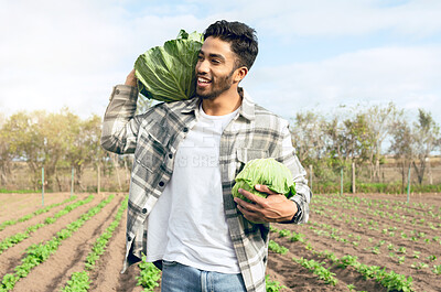 Buy stock photo Farm, sustainability and lettuce with a man farmer walking on agricultural land during the harvest season. Food, agriculture and plant with a male farming for sustainability or organic produce